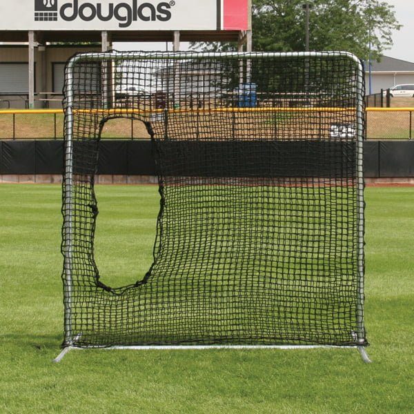 Baseball Protective Screen