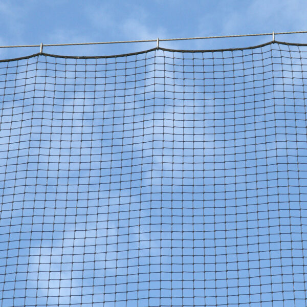 knotted baseball netting