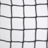Knotless Pylon #420 Hockey Netting
